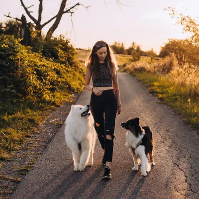 ŁAP MIŁOŚĆ - Dorota Franczak | behawiorysta | trener | szkolenie psów Kraków | www.lap-milosc.pl